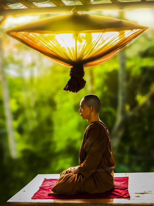 ¿Cuáles son los principios básicos y esenciales del Budismo?