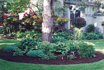 ¿Cómo conseguir hacer un jardín circular? - TnRelaciones